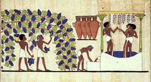 Egyptian Wine Photo